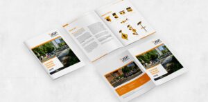 Case study for JSF Technology